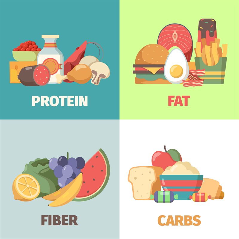 Healthy Protein