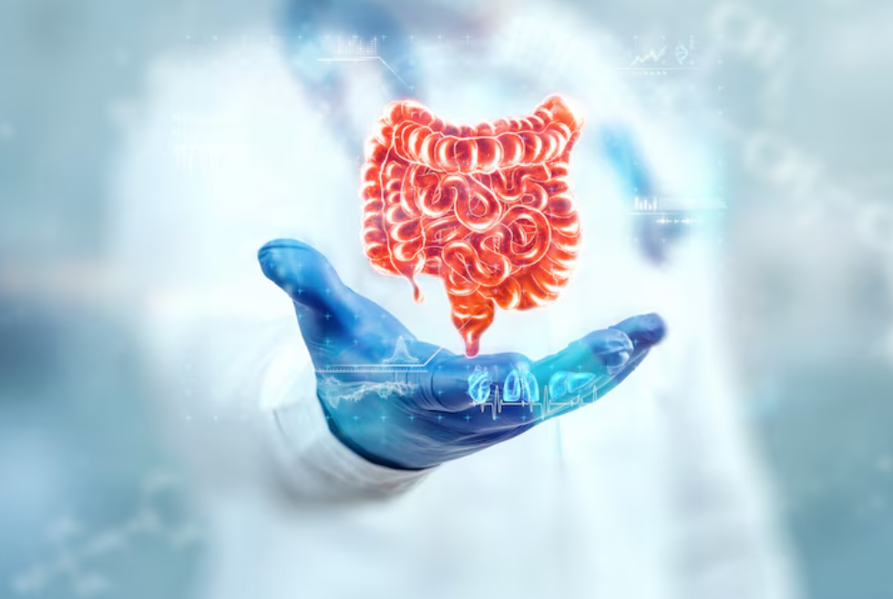 How To Improve Gut Health