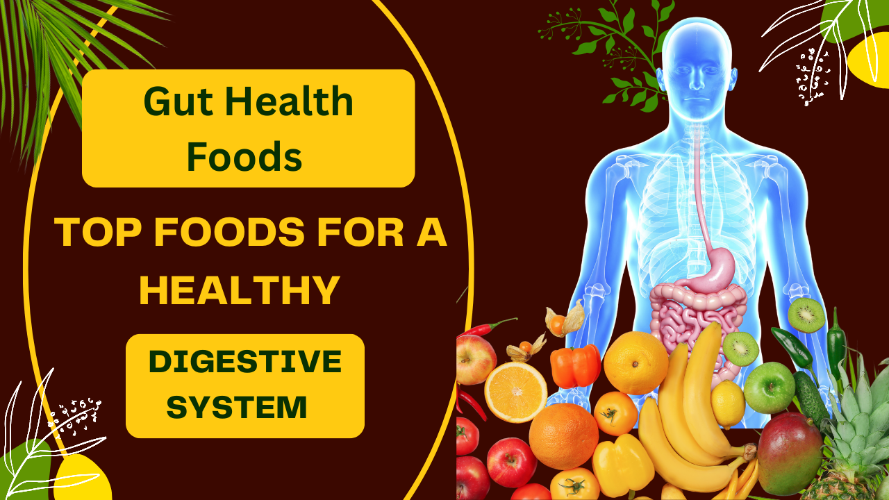 Gut Health Foods