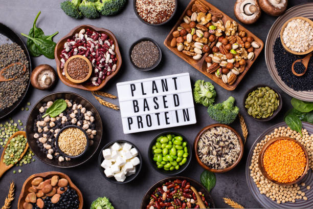 plant-based diet