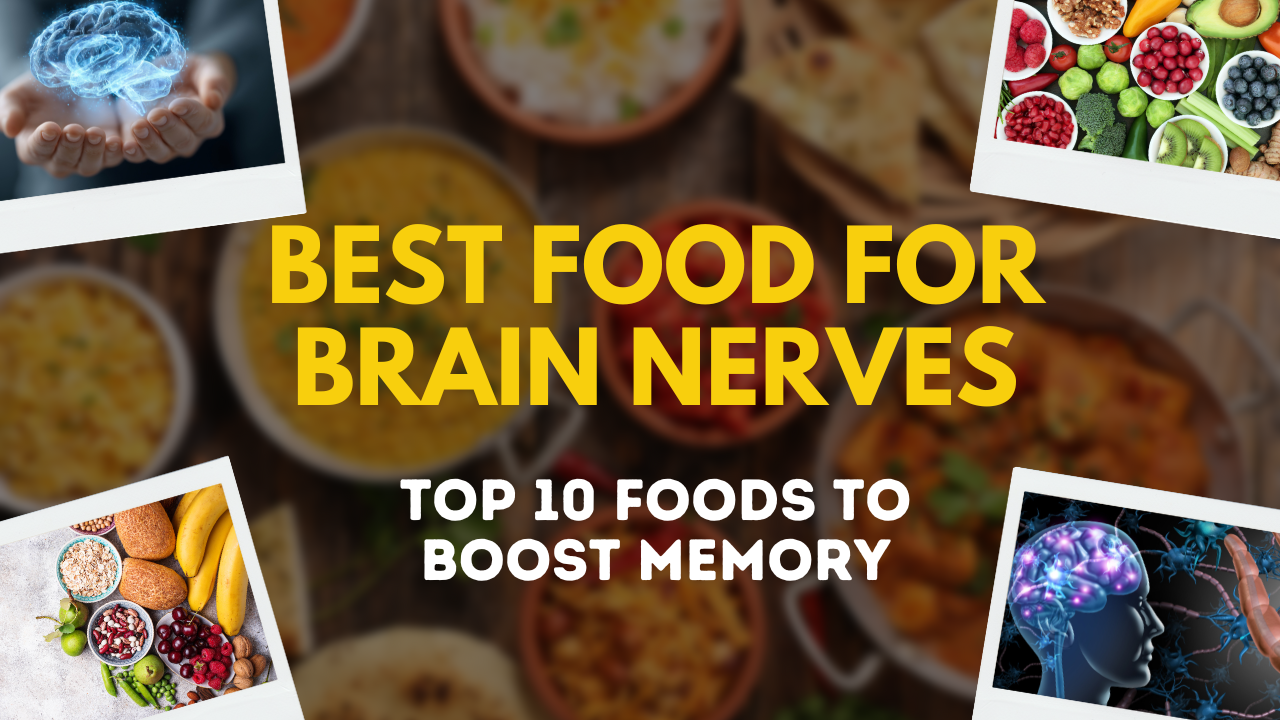 Best Food for Brain Nerves